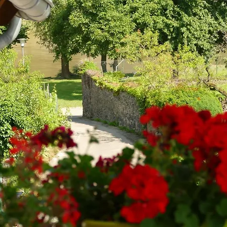 Katrin-cara Mia * Trittenheim