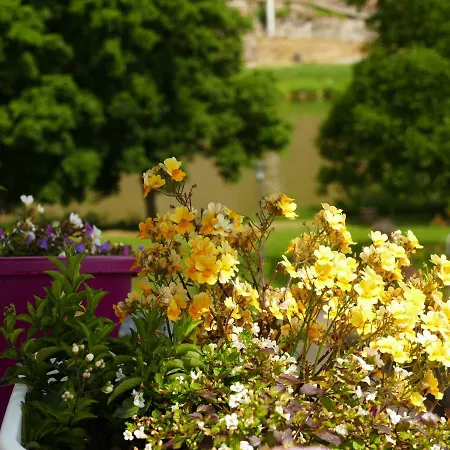 Apartment Katrin-cara Mia Trittenheim