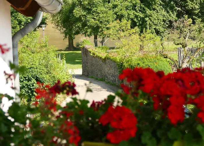 Katrin-cara Mia * Trittenheim