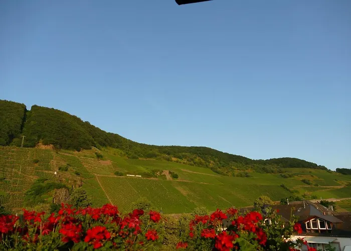 Apartment Katrin-cara Mia