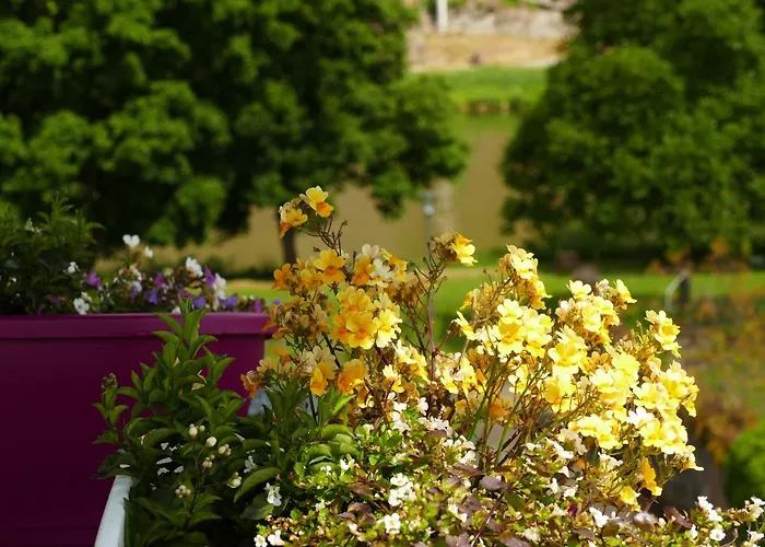 Apartment Katrin-cara Mia Trittenheim