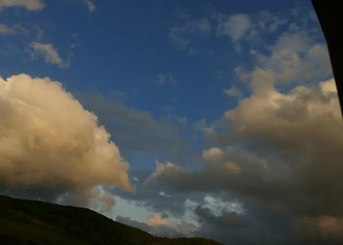 Katrin-cara Mia Trittenheim